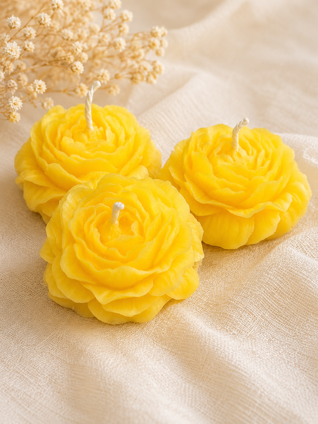 Sunny Bloom
